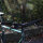 Omnium - CXC V3 - 1x11 SLX - 28/700c - Edition Velobande