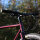 Omnium - CXC - 1x11 SLX - 27.5 - Edition Velobande