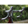 Orbea - TERRA M31ETEAM 1X - Wine Red Carbon View (Gloss)