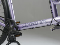 Omnium - Cargo V3 - Sofort Verfügbar