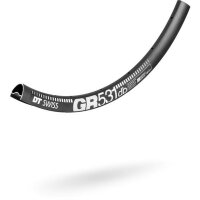 Felge - DT Swiss - GR 531