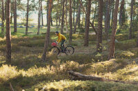 Pelago - Hanko - Outback