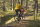 Pelago - Hanko - Outback