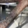 Spray.Bike - Awesome FX Cobweb - Silver - 400 ml