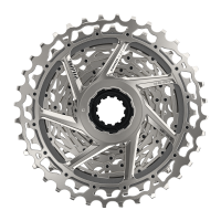Kassette - SRAM -  XG-1250 - 10/36