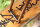 Rahmenset - Kona - Unit - Gloss Metallic Gold