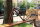 Rahmenset - Kona - Unit - Gloss Metallic Gold