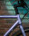 Omnium - CXC V4